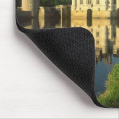 Kasteel Chenonceau, Loire Vallei, Muismat (Hoek)