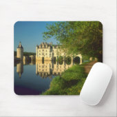 Kasteel Chenonceau, Loire Vallei, Muismat (Met muis)
