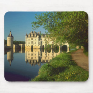 Kasteel Chenonceau, Loire Vallei, Muismat