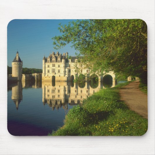 Kasteel Chenonceau, Loire Vallei, Muismat (Voorkant)