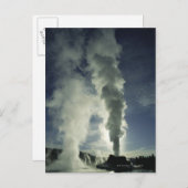 Kasteel Geyser, Yellowstone National Park Briefkaart (Voorkant / Achterkant)