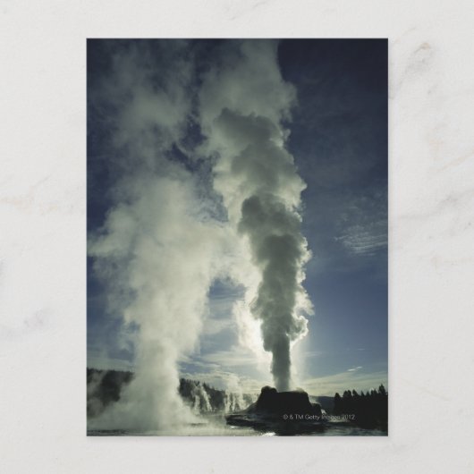 Kasteel Geyser, Yellowstone National Park Briefkaart (Voorkant)