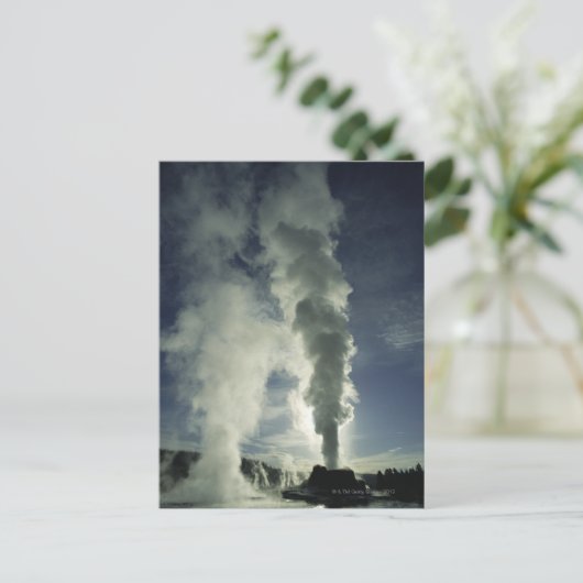 Kasteel Geyser, Yellowstone National Park Briefkaart (Staand voorkant)