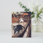 Kasteel Kat Rackham Illustratie Briefkaart (Staand voorkant)