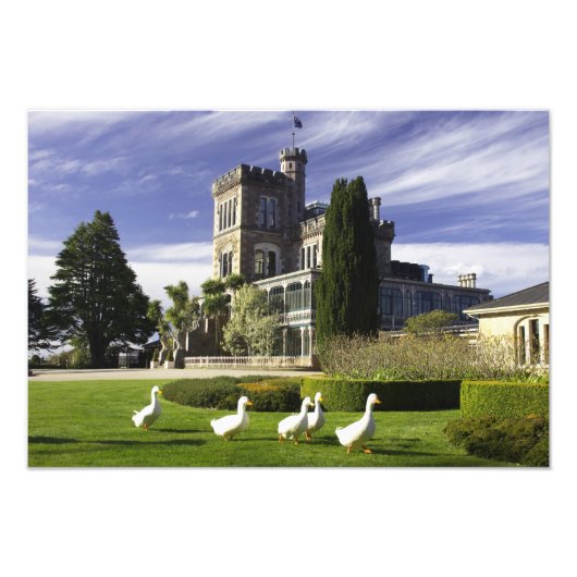 Kasteel Larnach, Otago schiereiland, Dunedin, Foto Afdruk (Voorkant)