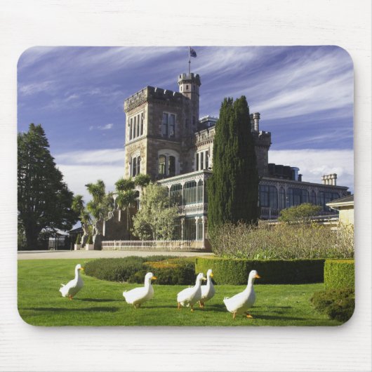Kasteel Larnach, Otago schiereiland, Dunedin, Muismat (Voorkant)