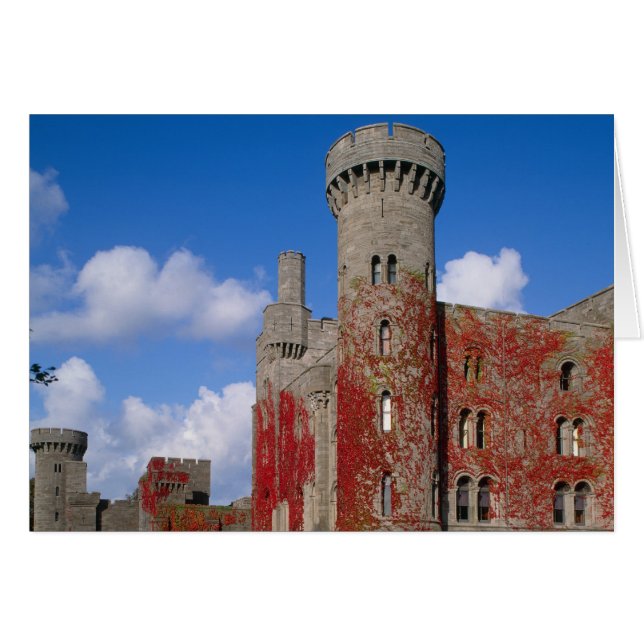Kasteel Penrhyn, Gwynedd, Wales 3 (Voorkant Horizontaal)