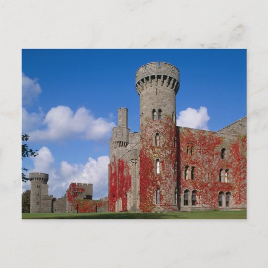 Kasteel Penrhyn, Gwynedd, Wales 3 Briefkaart (Voorkant)