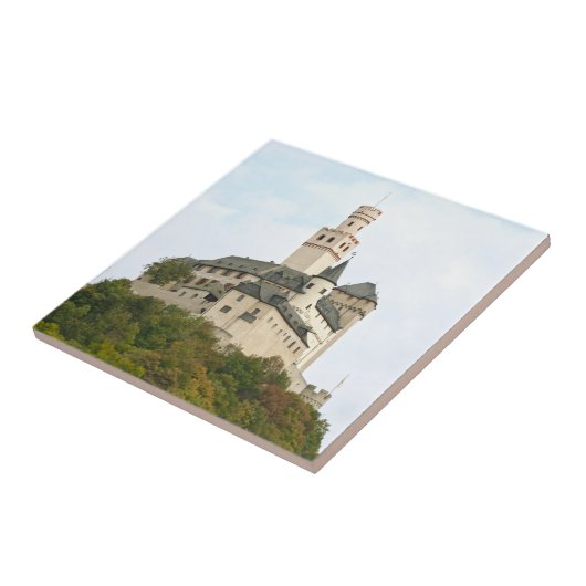 Kasteel Tegeltje (Zijkant)