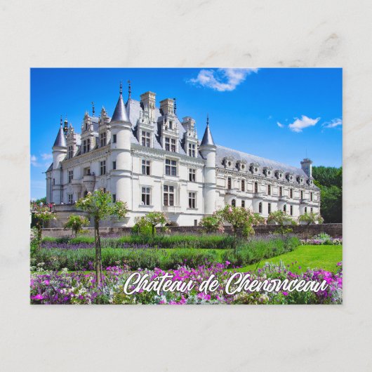 Kasteel van Chenonceau, Frankrijk Briefkaart (Voorkant)