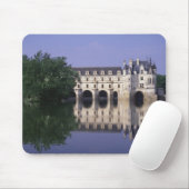 Kasteel van Chenonceau, Loire Vallei, Muismat (Met muis)
