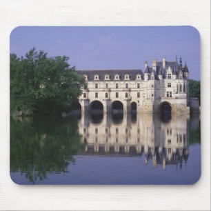 Kasteel van Chenonceau, Loire Vallei, Muismat
