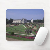 Kasteel van Chenonceau, Loire Vallei, Muismat (Met muis)