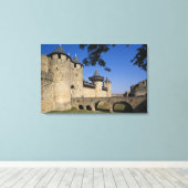 Kasteel van de Graven, Carcassonne, Aude, Languedo Canvas Afdruk (Insitu (Houten vloer))