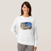 Kasteel van de Graven, Carcassonne, Aude, Languedo T-shirt (Voorkant volledig)