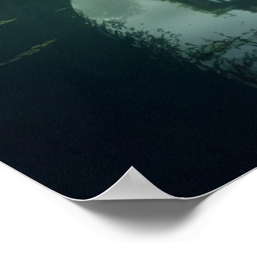 Kasteel van het Verboden Moeras Poster (Hoek)