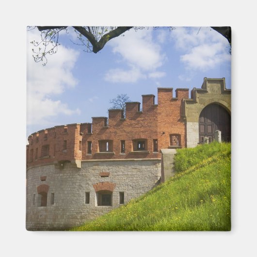 Kasteel Wawel, Krakau, Polen Magneet (Voorkant)