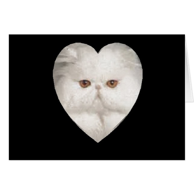 Kat (Voorkant Horizontaal)