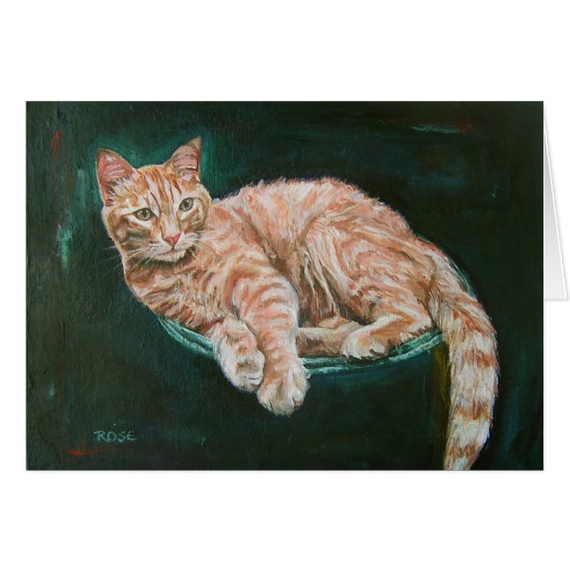 kat (Voorkant Horizontaal)