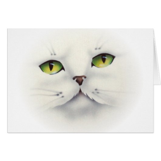 kat (Voorkant Horizontaal)