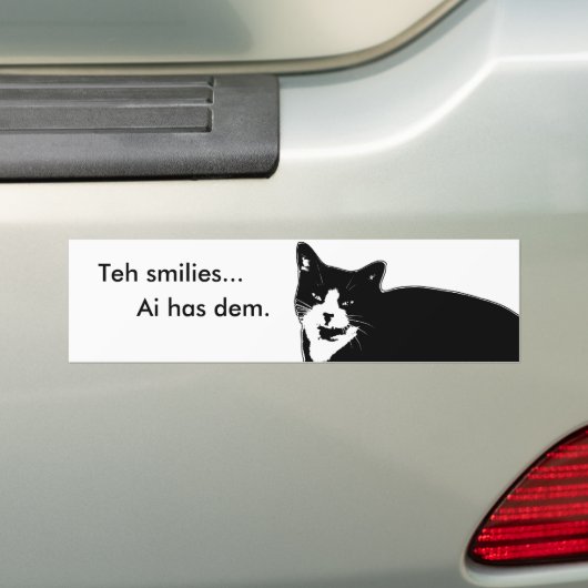 Kat2 Bumpersticker (Op auto)
