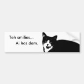 Kat2 Bumpersticker (Voorkant)