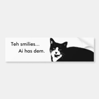 Kat2 Bumpersticker