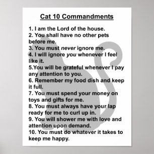Kat 10 Majoor print