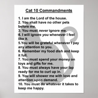 Kat 10 Majoor print