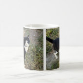 Kat 10, Mok (Center)