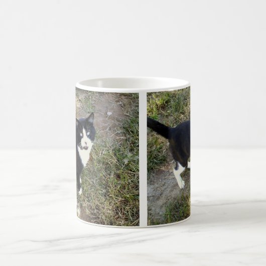 Kat 10, Mok (Center)