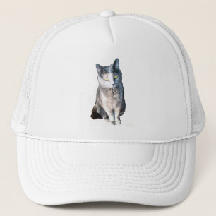 Kat 11, Pet