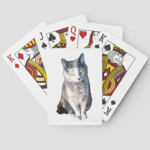 Kat 11 speelkaarten