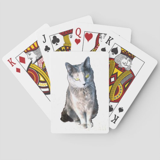 Kat 11 speelkaarten (Achterkant)