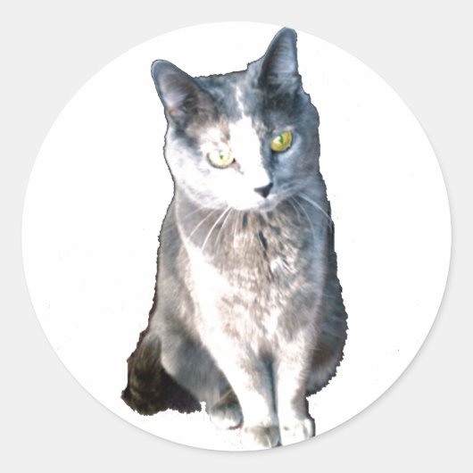 Kat. 11 Sticker (Voorkant)