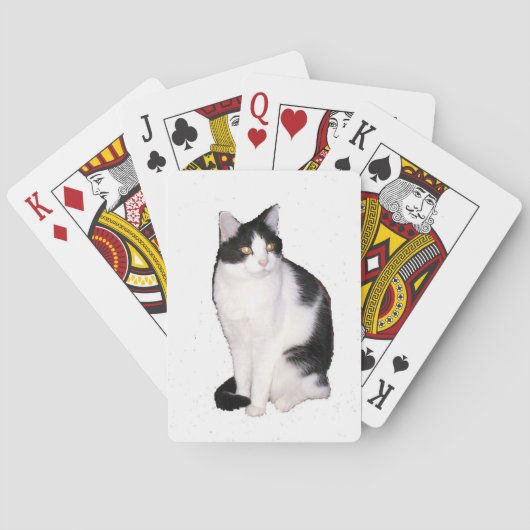 Kat 12 speelkaarten (Achterkant)