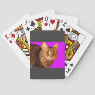Kat 14 speelkaarten