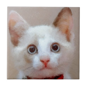 kat 3 tegeltje