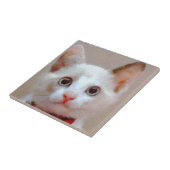 kat 3 tegeltje (Zijkant)