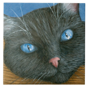 Kat 414 zwarte kat tegeltje