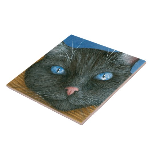 Kat 414 zwarte kat tegeltje (Zijkant)