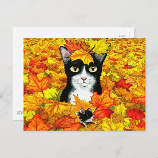 kat 447 briefkaart (Voorkant / Achterkant)