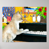 Kat 506 met piano poster (Voorkant)