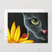 Kat 510 briefkaart (Voorkant / Achterkant)