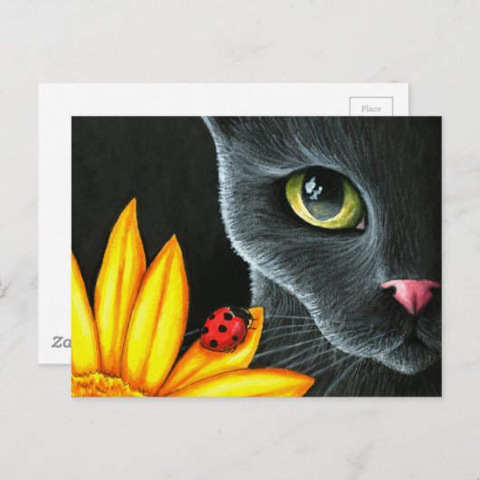 Kat 510 briefkaart (Voorkant / Achterkant)