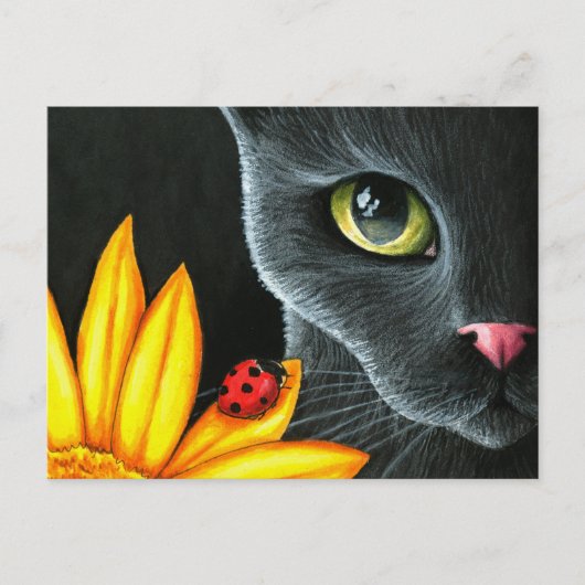 Kat 510 briefkaart (Voorkant)