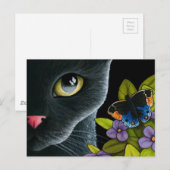 Kat 557 briefkaart (Voorkant / Achterkant)