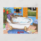 kat 567 briefkaart (Voorkant)