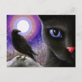 Kat 570 briefkaart (Voorkant)