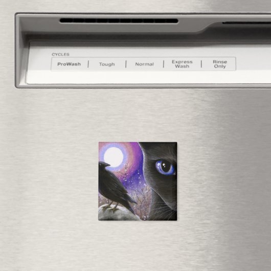 Kat 570 magneet (Insitu (Vaatwasser))